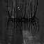 Malevolent Animism