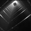 Primordium