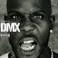 Best Of DMX