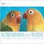 Bird Sounds for Birds: Nature Sounds to Entertain Your Parrot, Cockatoo, Parakeet and More