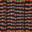 Empty