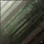 Vleugels - Single
