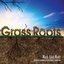 Grass Roots (feat. Mark Schatz, Casey Cook & Andy Carlson)