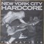 New York City Hardcore - The Way It Is