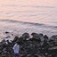 Distant Day