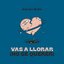 Vas A Llorar (No Sé Querer) - Single