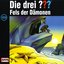 133 - Fels der Dämonen