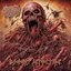 Maggot Infection - Single