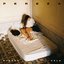 Pereza - Single