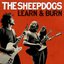 Learn and Burn (Deluxe)