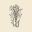 Gardens and Plantings