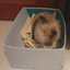 momo box