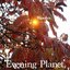Evening Planet