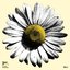 Heart Of Gold: The Songs of Neil Young Vol. 1