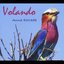 Volando
