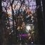 z1ma bl1zk0 - Single