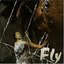 Fly