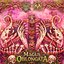 Magus Oblongata