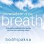 The Wisdom of the Breath