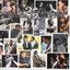 The Alligator Records 25th Anniversary Collection