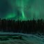 Northern Light