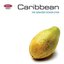 The Greatest Songs Ever: Caribbean (LOSS OF RIGHTS January 2008)