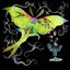 Drama Moth