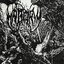 HABORYM