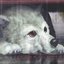 Wolf's Rain Original Soundtrack 2