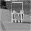Unsweetened Lemonade (Stripped) - Single