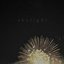Skylight - Single