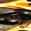 QFG: A Compilation