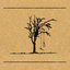 The Weeping Tree