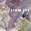 Alligator - Single