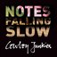 Notes Falling Slow