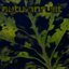 Autumnrust - Single