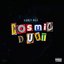 Cosmic Dust