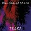 Underbara saker