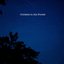 Crickets in the Forest - Single