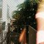 Begin Again