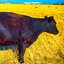 Meatfarm - Single