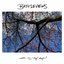 All of My Days - Single