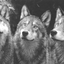 Avatar de imstanislavsky
