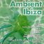 Ambient Ibiza