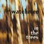 In The Trees