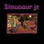 Dinosaur Jr.