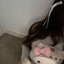 hk girl - Single