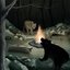 The Animal Manual