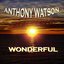 Wonderful (Digital Version)