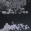 Demoniacal Visions from the Crypt